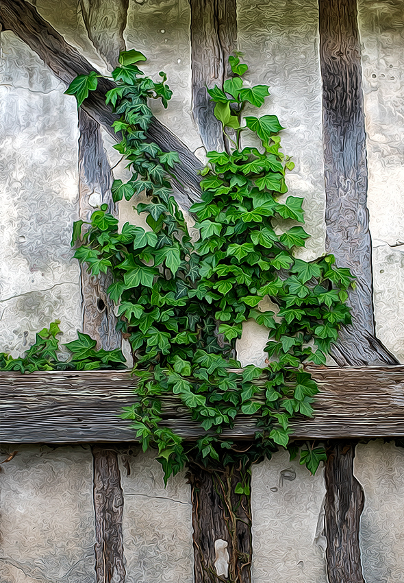 Normandie 05 - 2016_KA79935-1 Kopie.jpg - An einer alten Scheunenwand